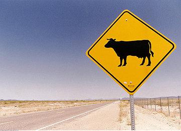 《如龙8》娱乐场所介绍：成年人的娱乐让人欲罢不能